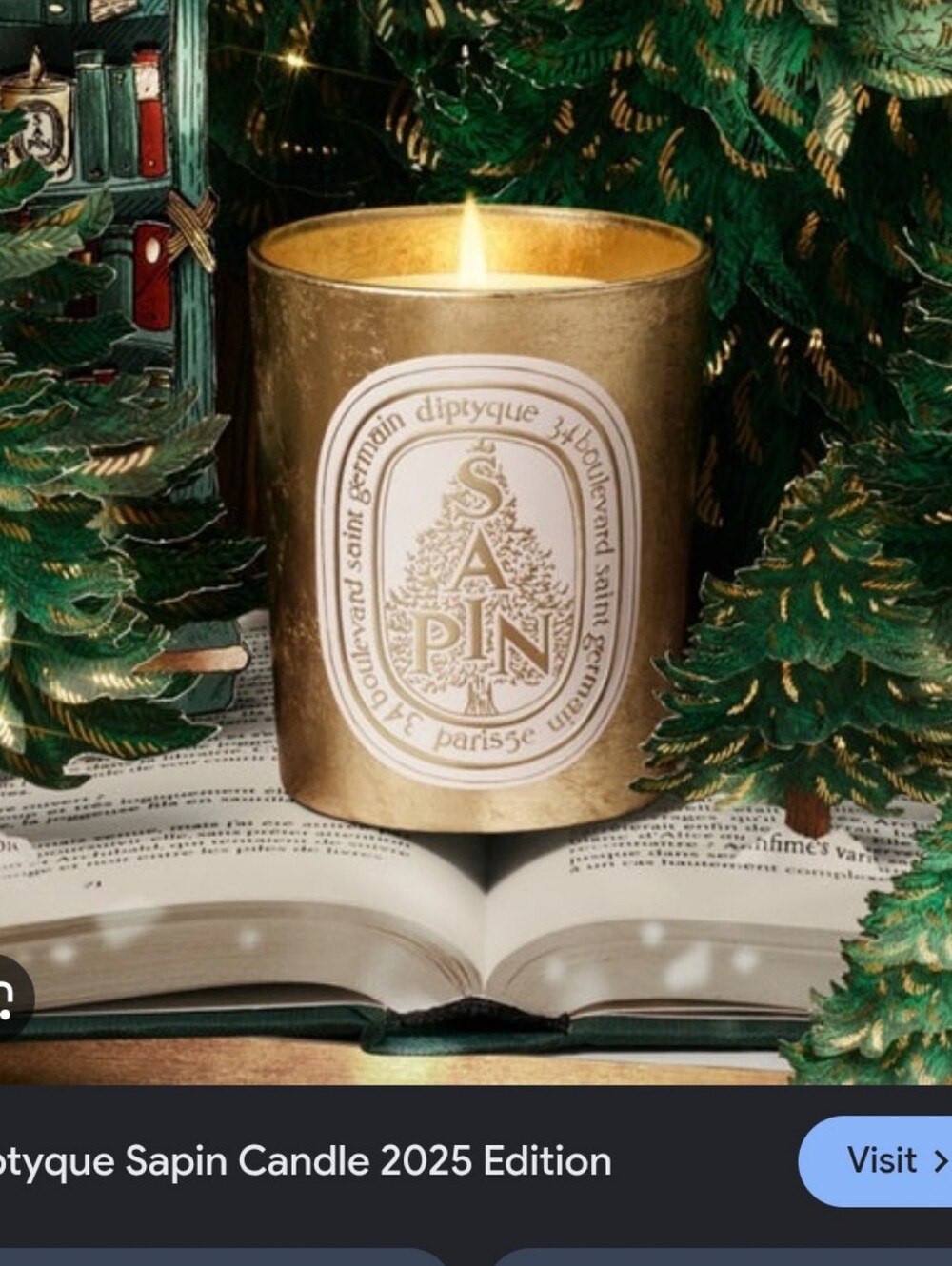 Diptyque Sapin candle 2025 Holiday